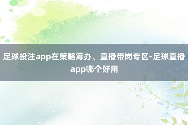 足球投注app在策略筹办、直播带岗专区-足球直播app哪个好用