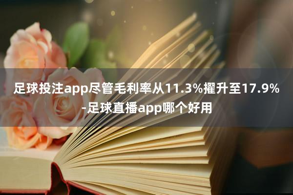 足球投注app尽管毛利率从11.3%擢升至17.9%-足球直播app哪个好用