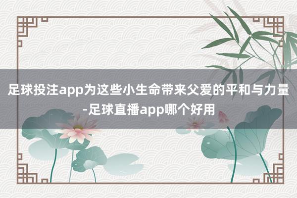 足球投注app为这些小生命带来父爱的平和与力量-足球直播app哪个好用