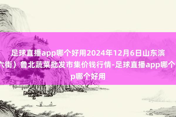 足球直播app哪个好用2024年12月6日山东滨州(六街)鲁北蔬菜批发市集价钱行情-足球直播app哪个好用