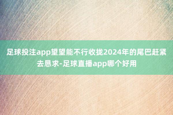 足球投注app望望能不行收拢2024年的尾巴赶紧去恳求-足球直播app哪个好用