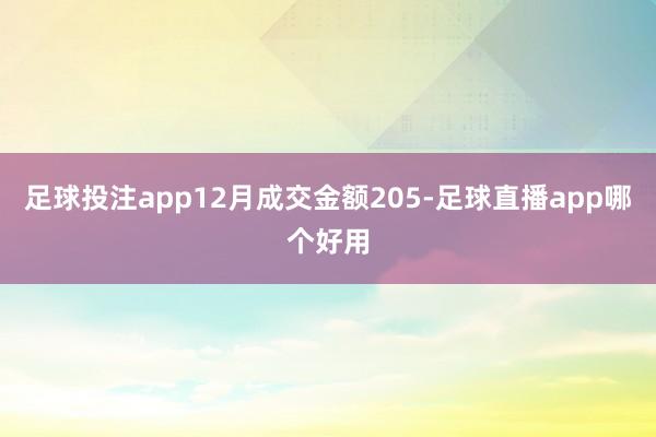 足球投注app12月成交金额205-足球直播app哪个好用