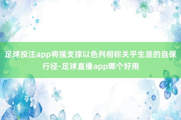 足球投注app将强支撑以色列相称关乎生涯的自保行径-足球直播app哪个好用