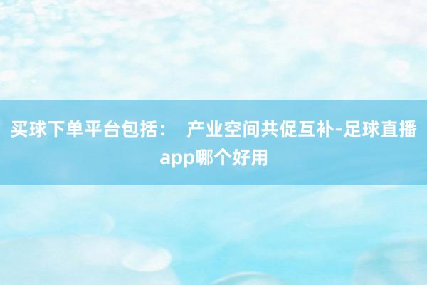 买球下单平台包括：  产业空间共促互补-足球直播app哪个好用