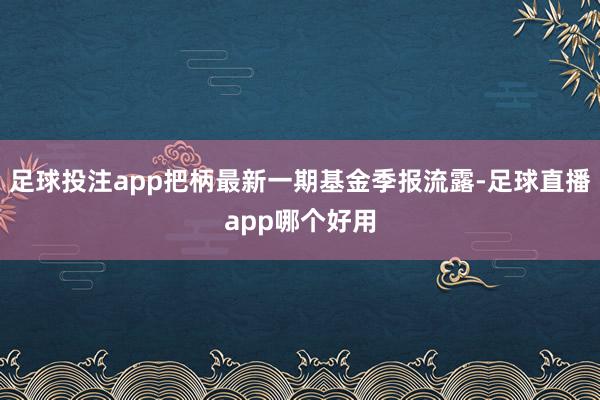 足球投注app把柄最新一期基金季报流露-足球直播app哪个好用