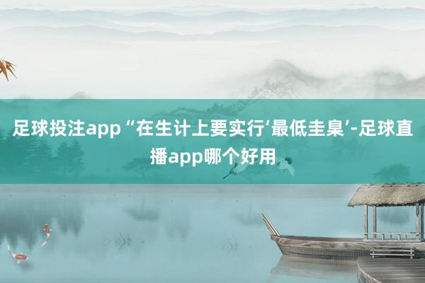 足球投注app“在生计上要实行‘最低圭臬’-足球直播app哪个好用