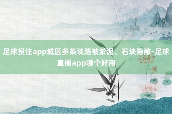 足球投注app城区多条谈路被淤泥、石块隐敝-足球直播app哪个好用