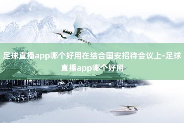 足球直播app哪个好用在结合国安招待会议上-足球直播app哪个好用